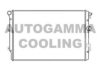 AUTOGAMMA 107117 Radiator, engine cooling